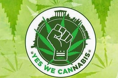 YES WE CANNABIS
