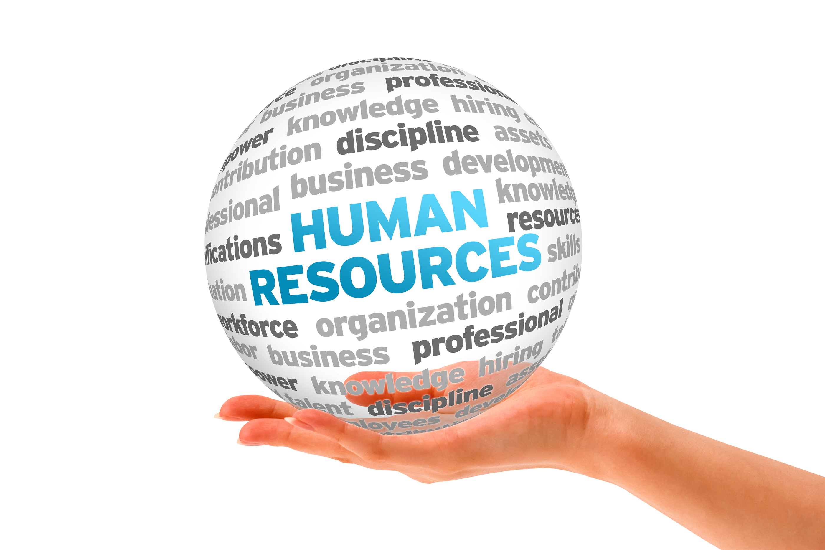 Hand holding a Human Resources Word Sphere on white background.